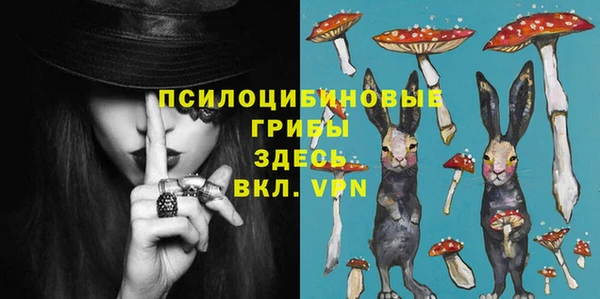гашик Верхний Тагил